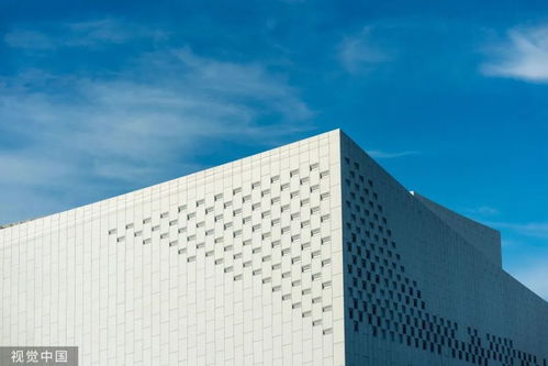 8萬(wàn)元深圳3日游？網(wǎng)友調(diào)侃 努力一把，9萬(wàn)元回家